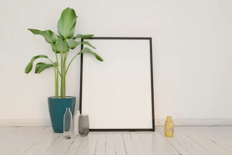 Banana-Palm