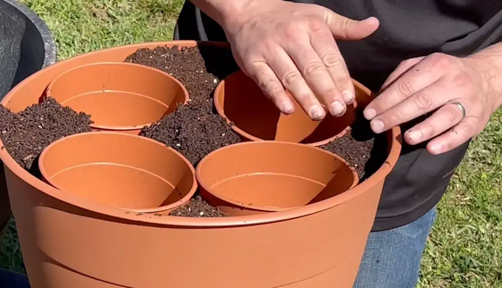 container tips with pots