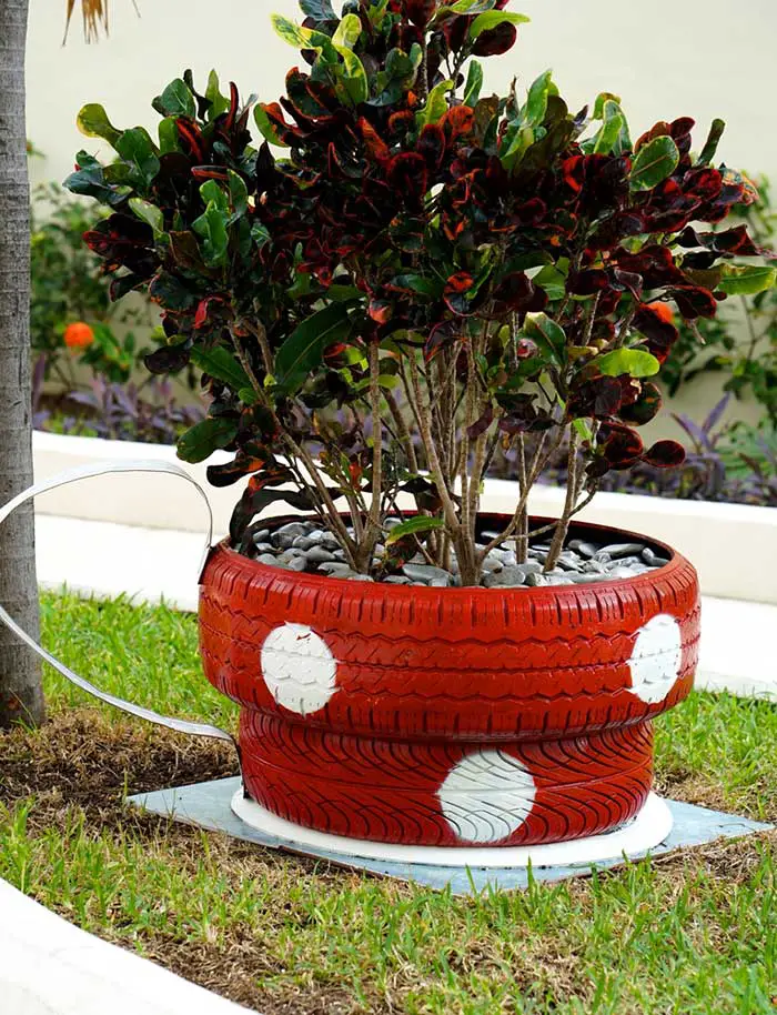 tea cup tire planter