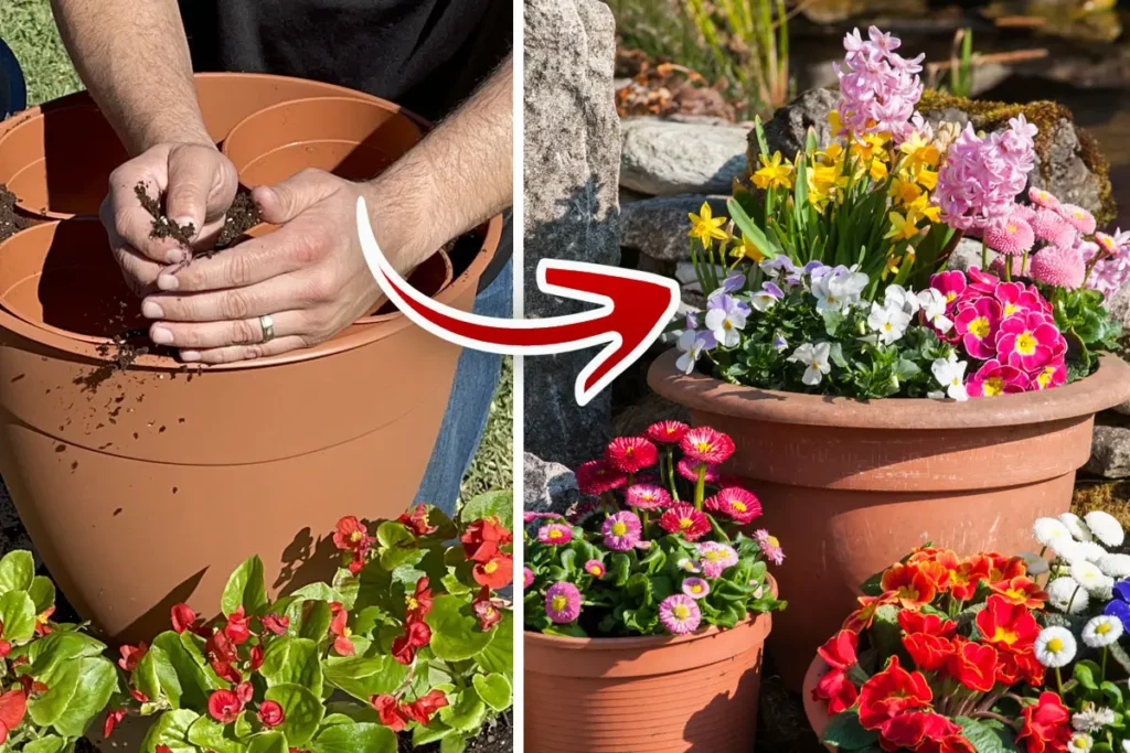 container planting tips
