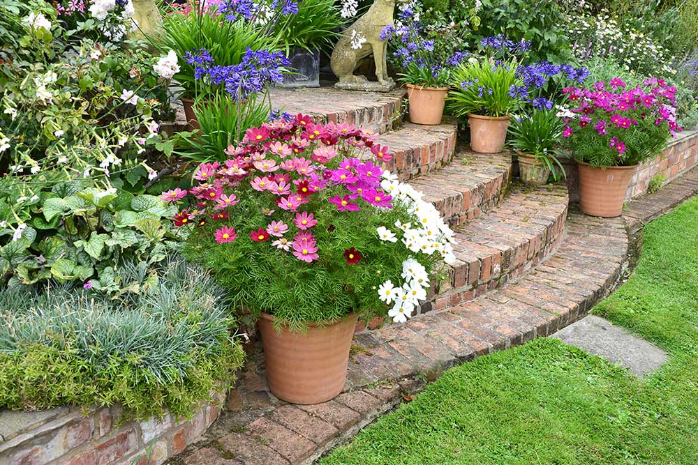 container flowers on stairs