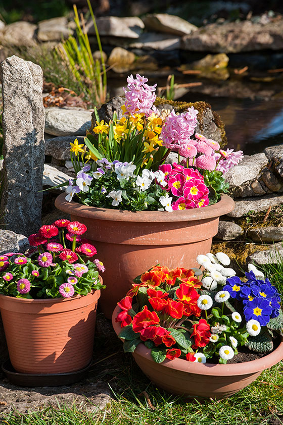 potted plants