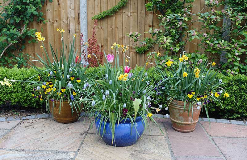 spring container gardens