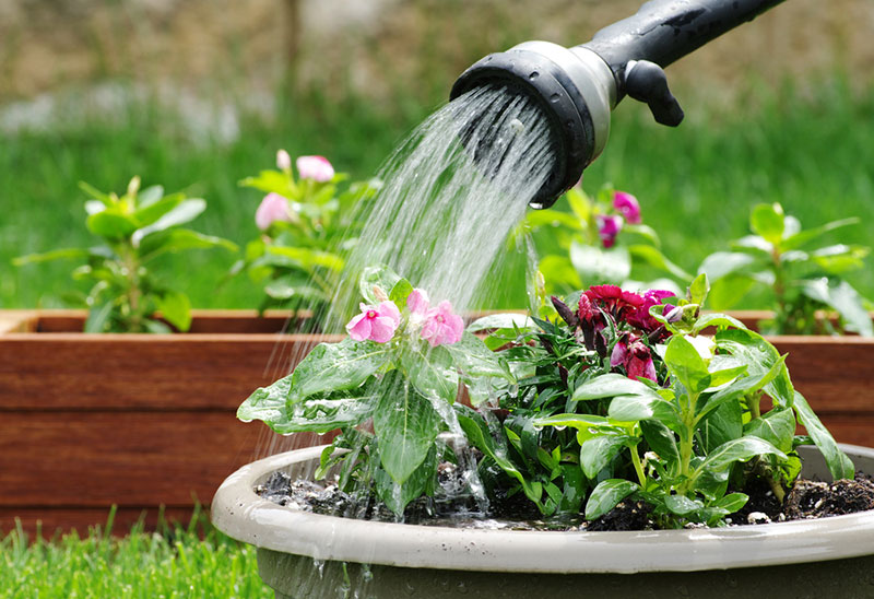 watering containers