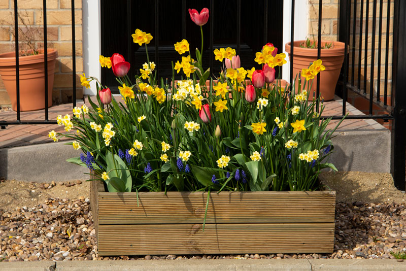 wood planter