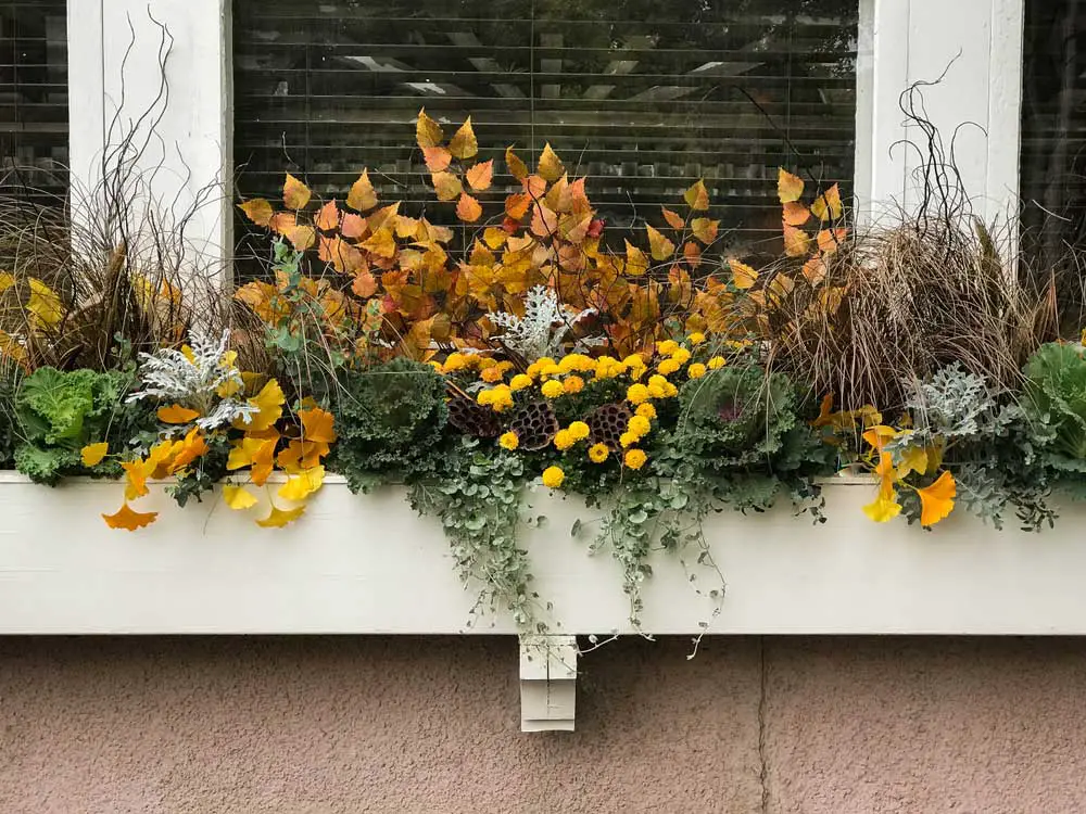 attractive fall window box