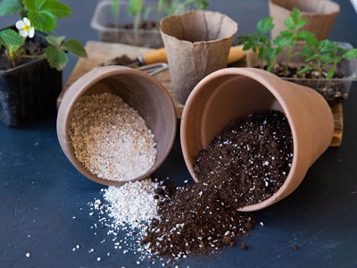 soil mixture