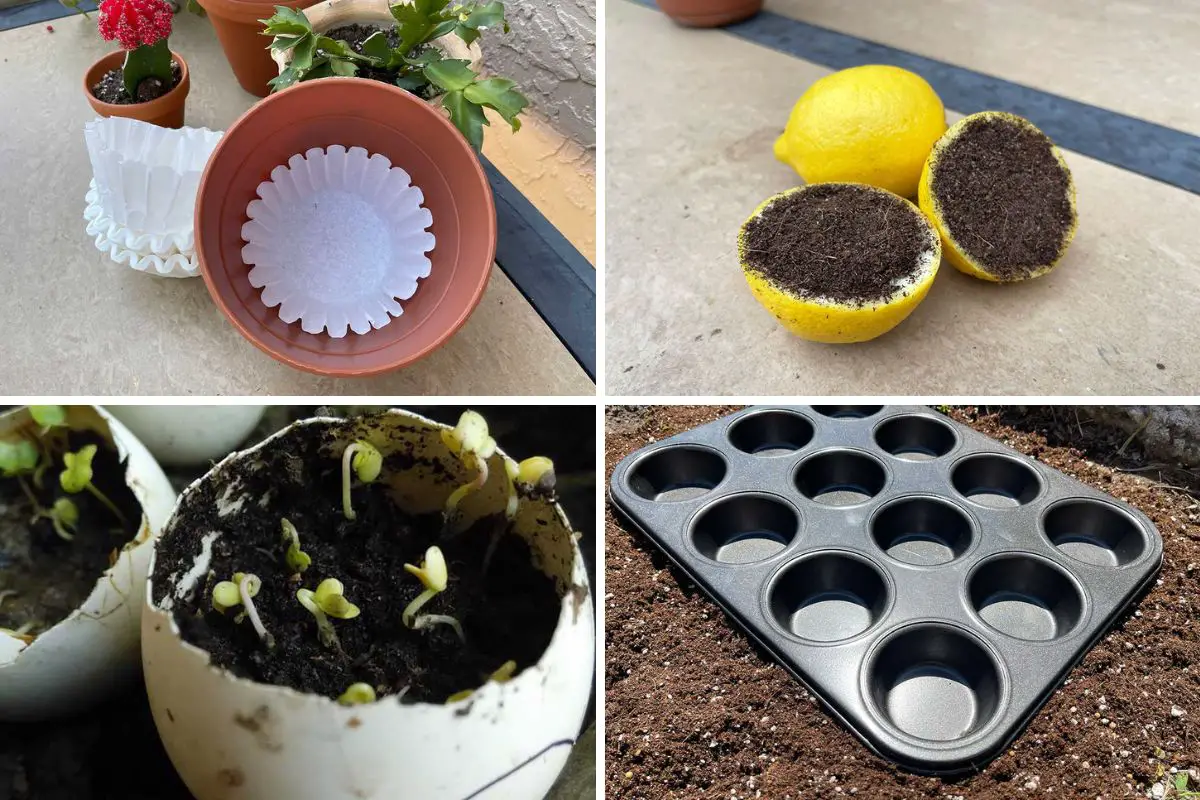 Garden Hacks Collage