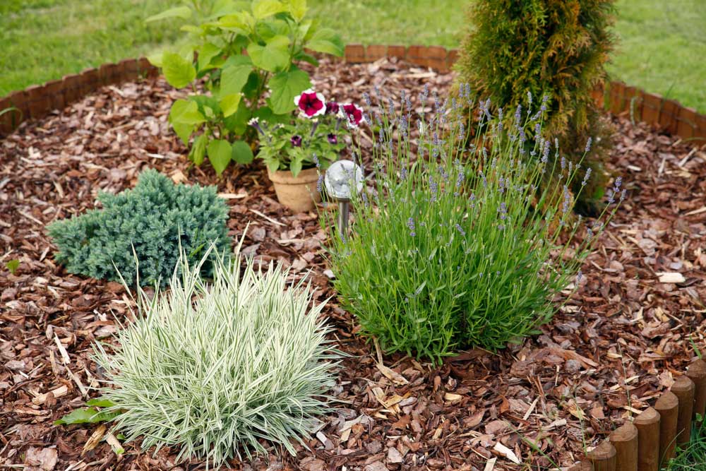 mulch flower beds