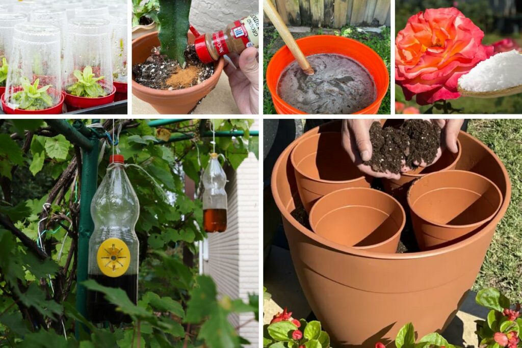 70 Gardening Hacks