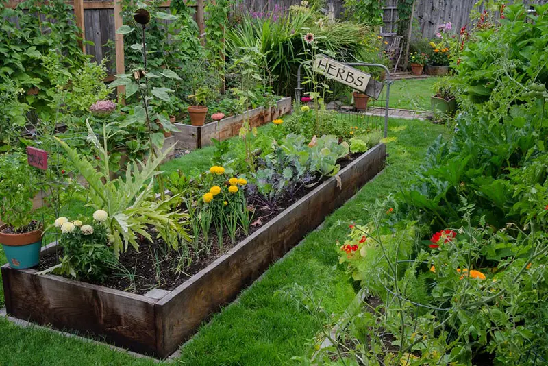 Raised Herb Garden