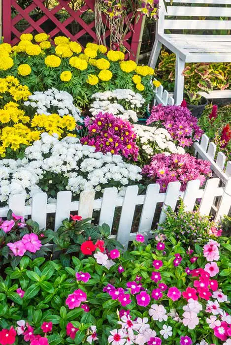 This sublime little pocket sized garden is full to the brim with a variety of petal types and colors, framed perfectly by a miniature white picket fence. We love intricate touches like this, reminding us that small scale detail is just as important as the big picture.