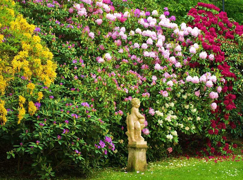 When you've got big beautiful plants like these, sometimes the best strategy is to simply step back and let them shine. If you want to add some manmade detail though, you can't go wrong with a subtle statue or two.