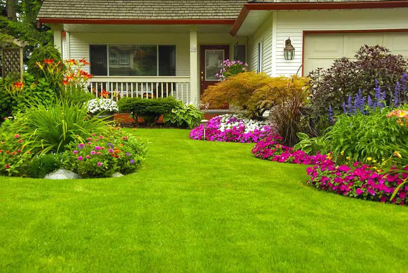 While most gardens appear tucked away in backyards around the world, this lush lawn features appearances by a variety of bright flowers, including Gerber daisies, geraniums, Japanese maple, impatiens, and more. They add an element of unmatched contrast and warm detail to the lawn.