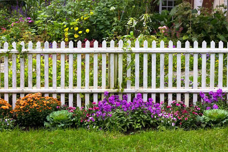 We love the way a subtle variety of colorful bulbs can complement and complete an ornate garden fence. The white pickets here are framed by the glow of greenery, purple, and orange flowers in a way that no manmade decoration can match.