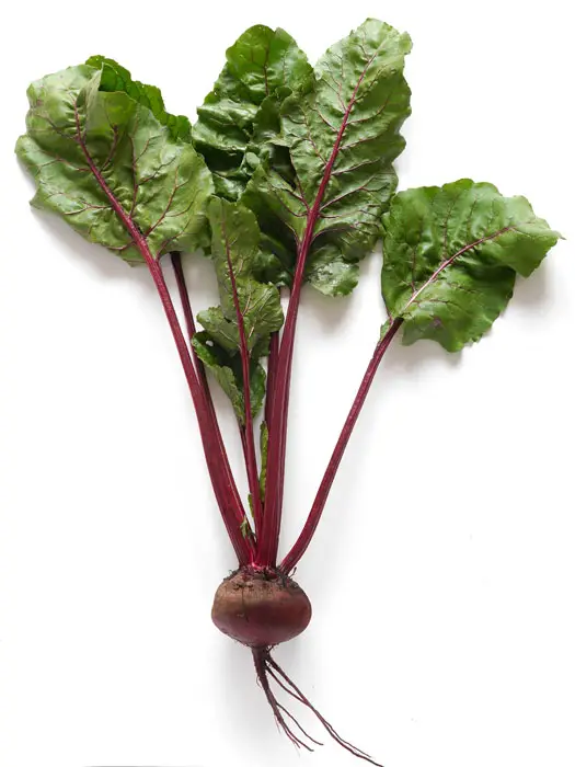 Beet-and-Beet-Greens-01