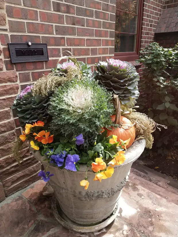 Fall Container