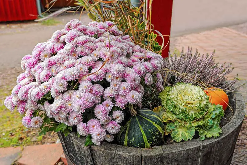 Fall Containers