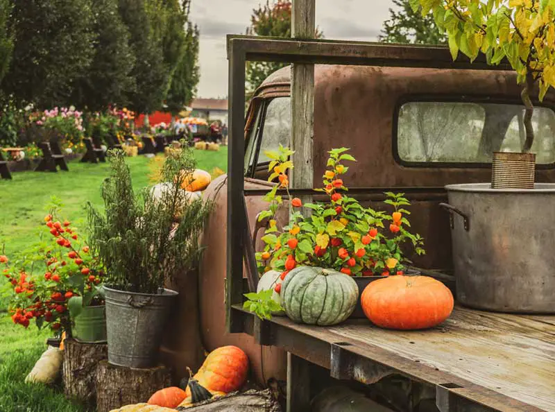 Fall Truck