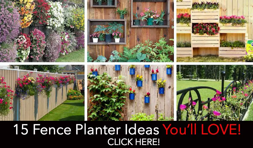 FencePlanters-featuredPost