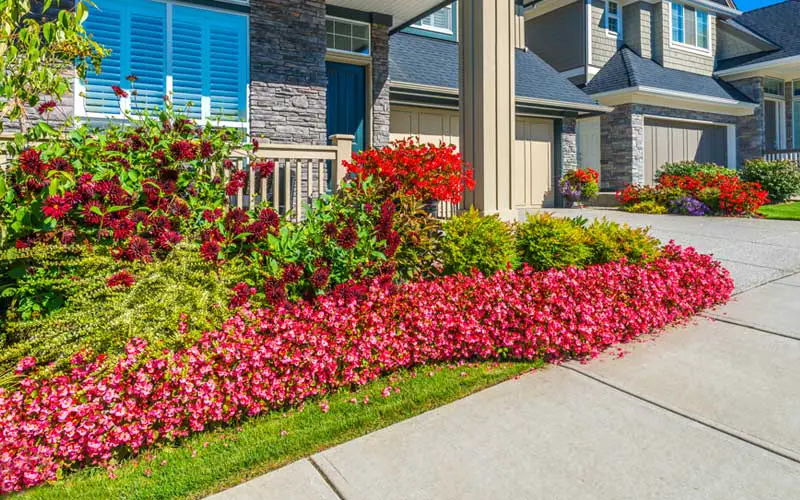 Front Yard edging idea