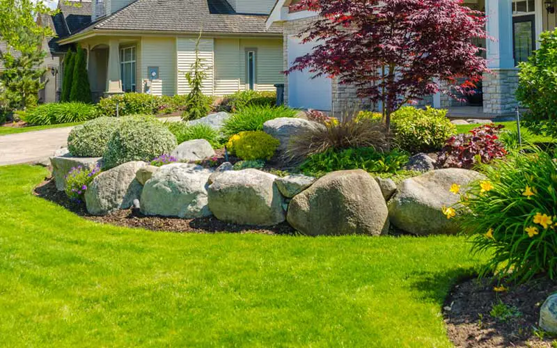 Rock Garden front yard