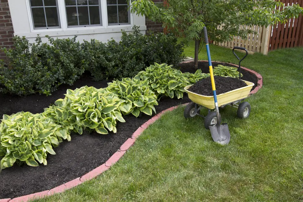 Mulch-Beds