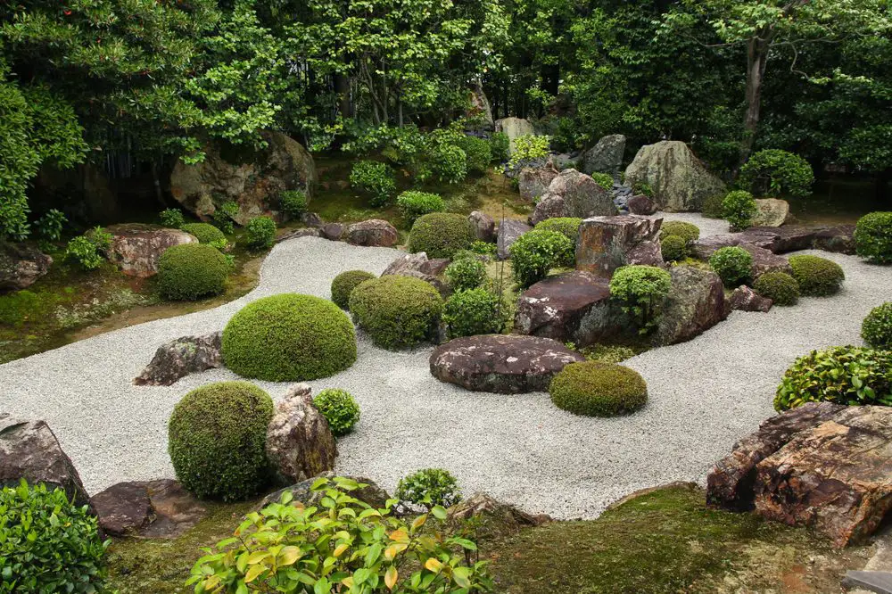 Rock-Garden