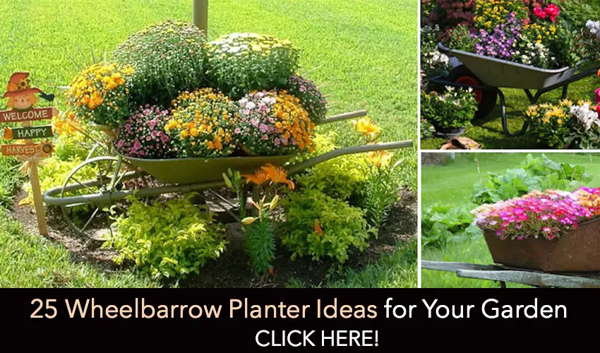 WheelbarrowPlanters