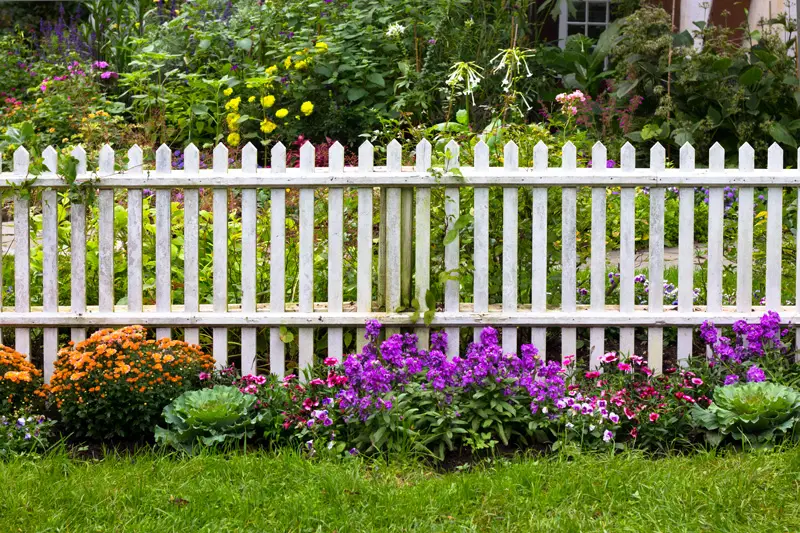 White picket fence pretty flowers