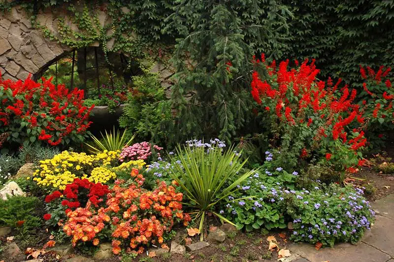 Fall flower bed