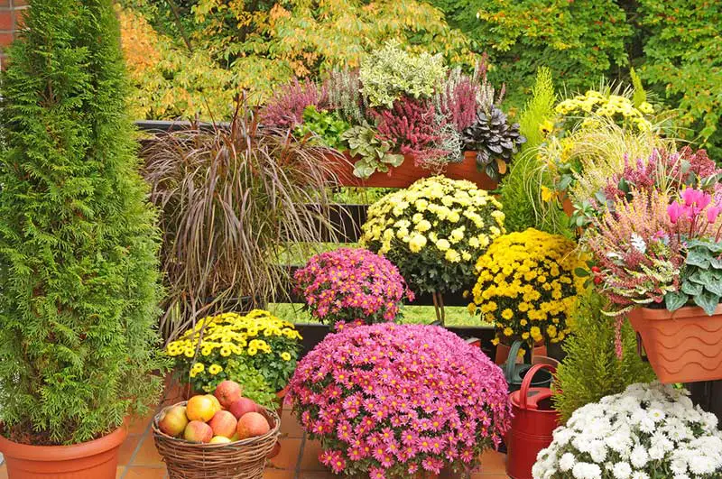 balcony fall garden