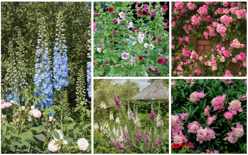 english garden collage