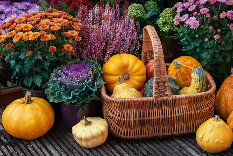 fall basket decor