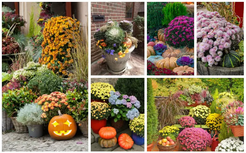 fall garden ideas collage