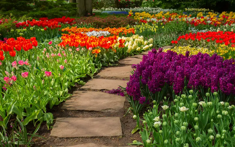 garden-path-stepping-stones-11