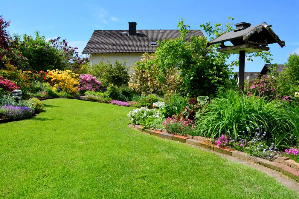 Landscaped Backyard