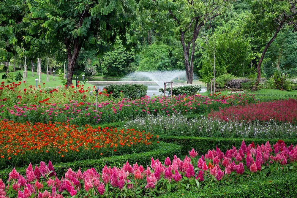 Flower Beds Edged in Hedges