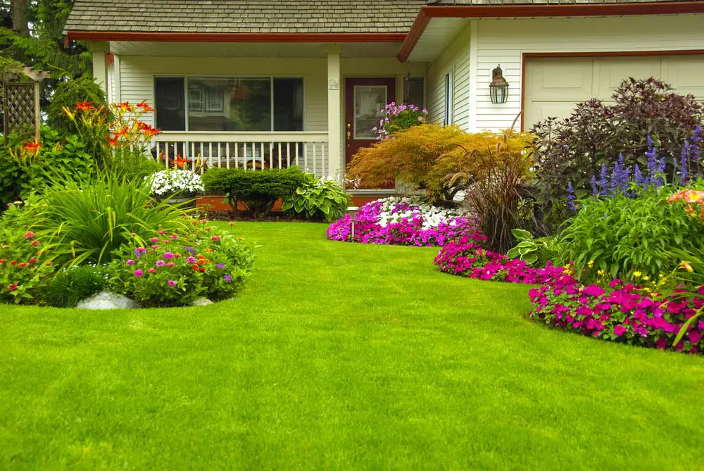 Lush Landscape Front Garden