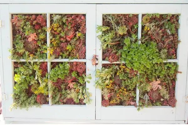 17 Creative Gardening Ideas Using Old Windows - Garden Lovers Club