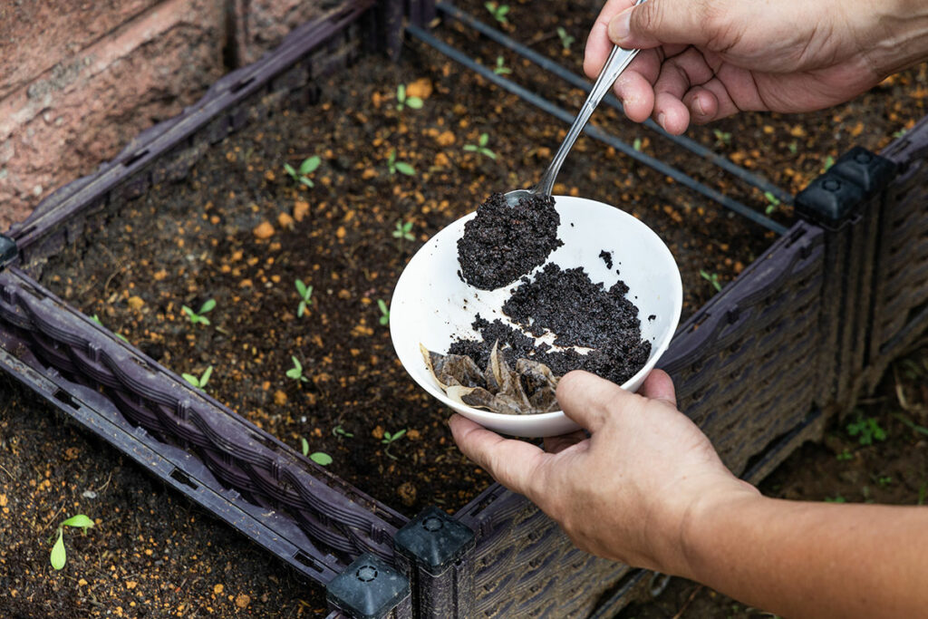 How to Use Coffee Grounds in the Garden to Deter Pests: Easy Tips for
