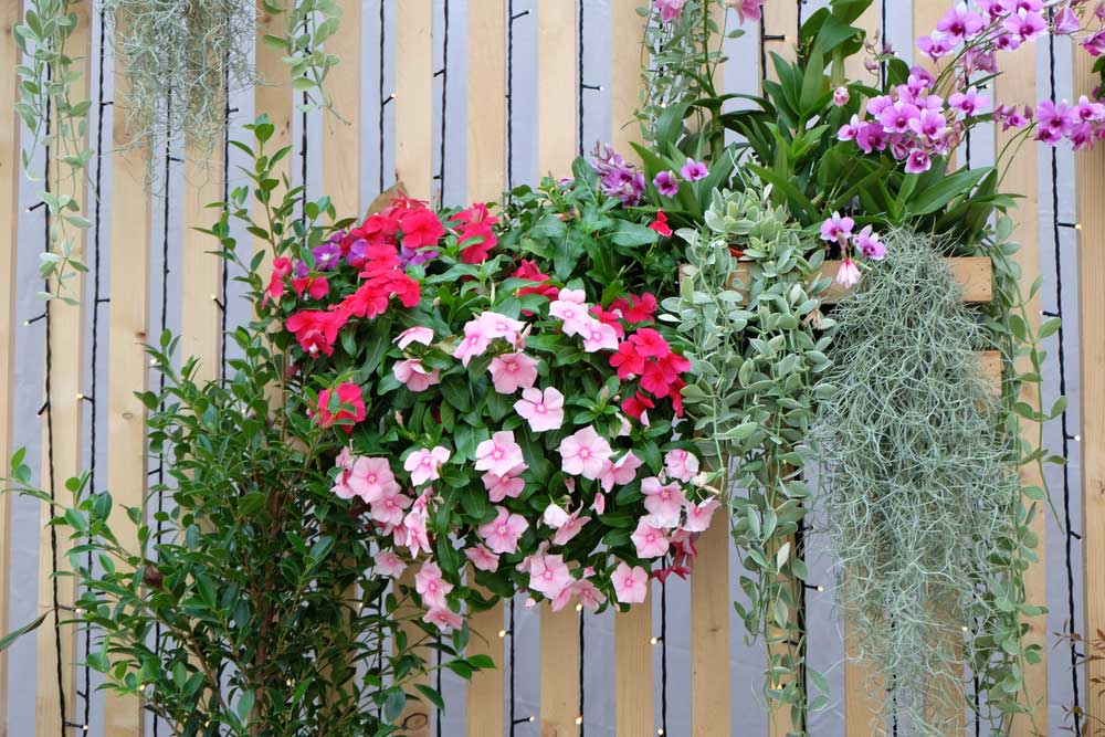 Fence Panel Garden
